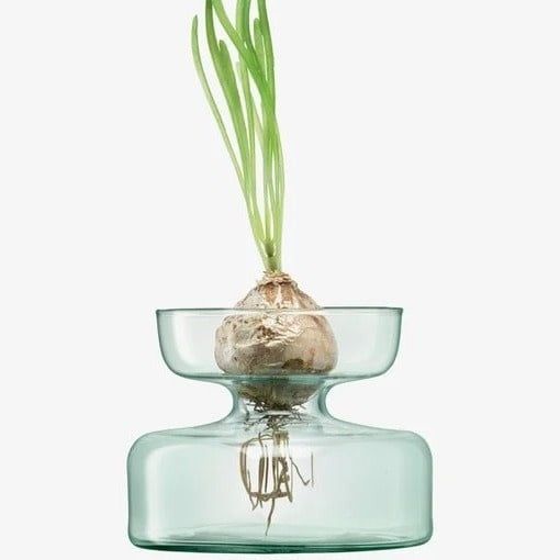 Canopy Vase/Bulb Planter H10cm Clear