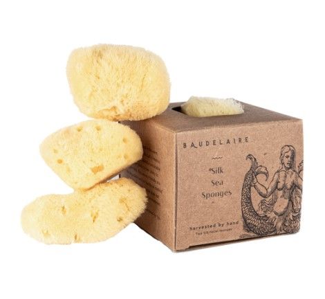 Silk Sponge Boxed 2pk