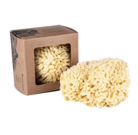 Wool Bath Sponge Large
