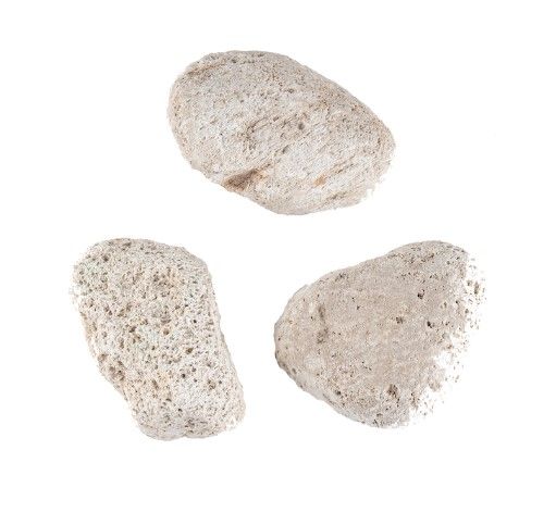 Pumice Stone