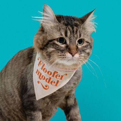Floofer Small Pet Bandana