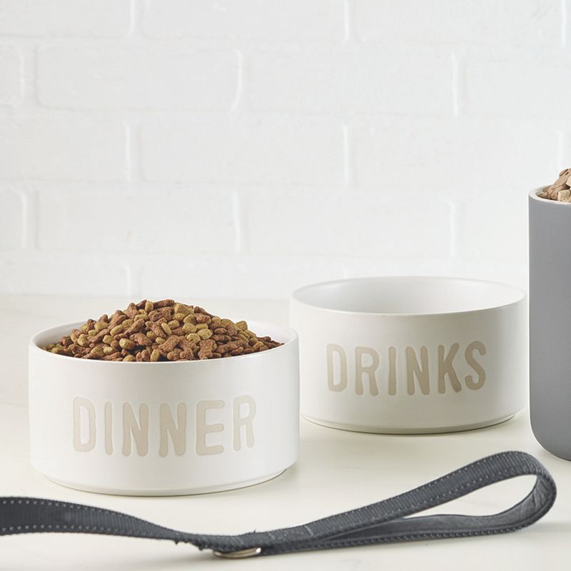 Dinner and Drinks Pet Bowl Set