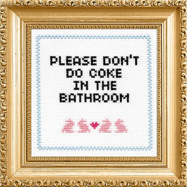 Please Don&#39;t Do Coke Cross Stitch Kit