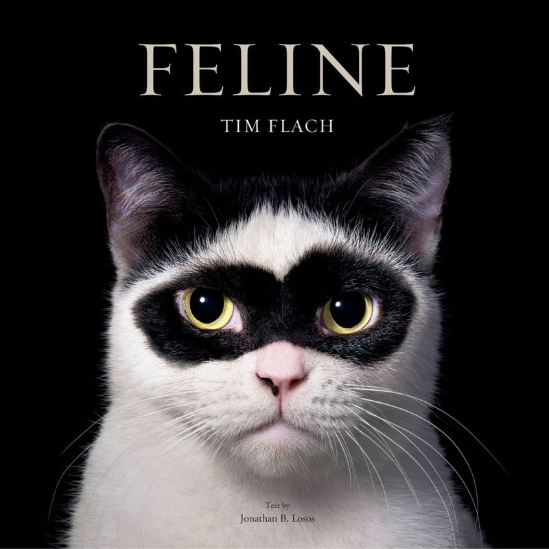 Feline: Tim Flach