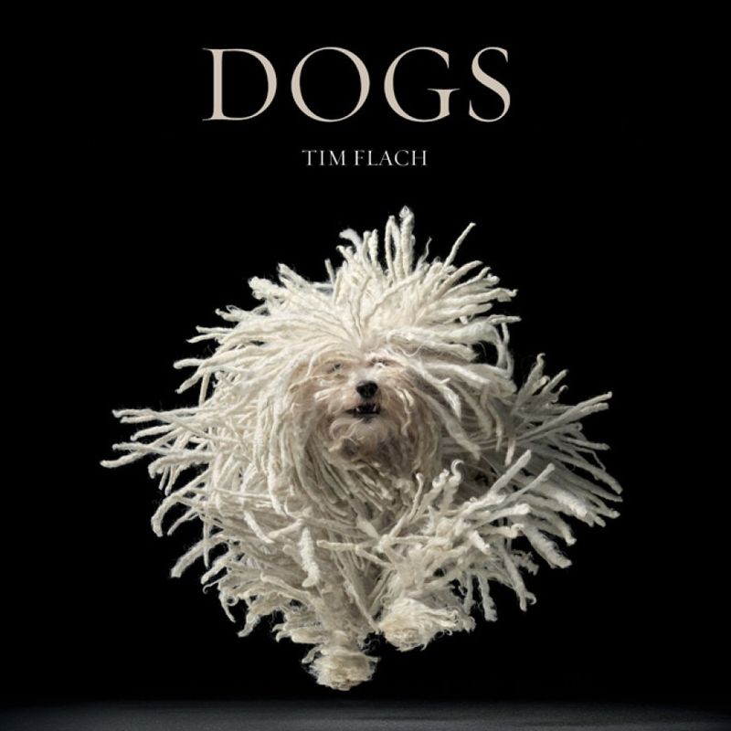 Dogs: Tim Flach