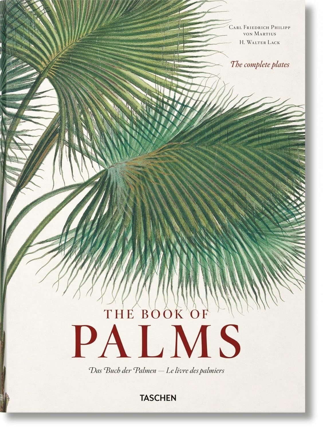 von Martius. The Book of Palms