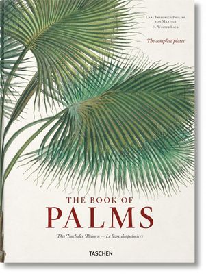 von Martius. The Book of Palms