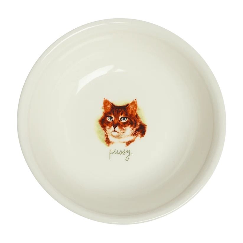 Pussy Cat Bowl 8oz