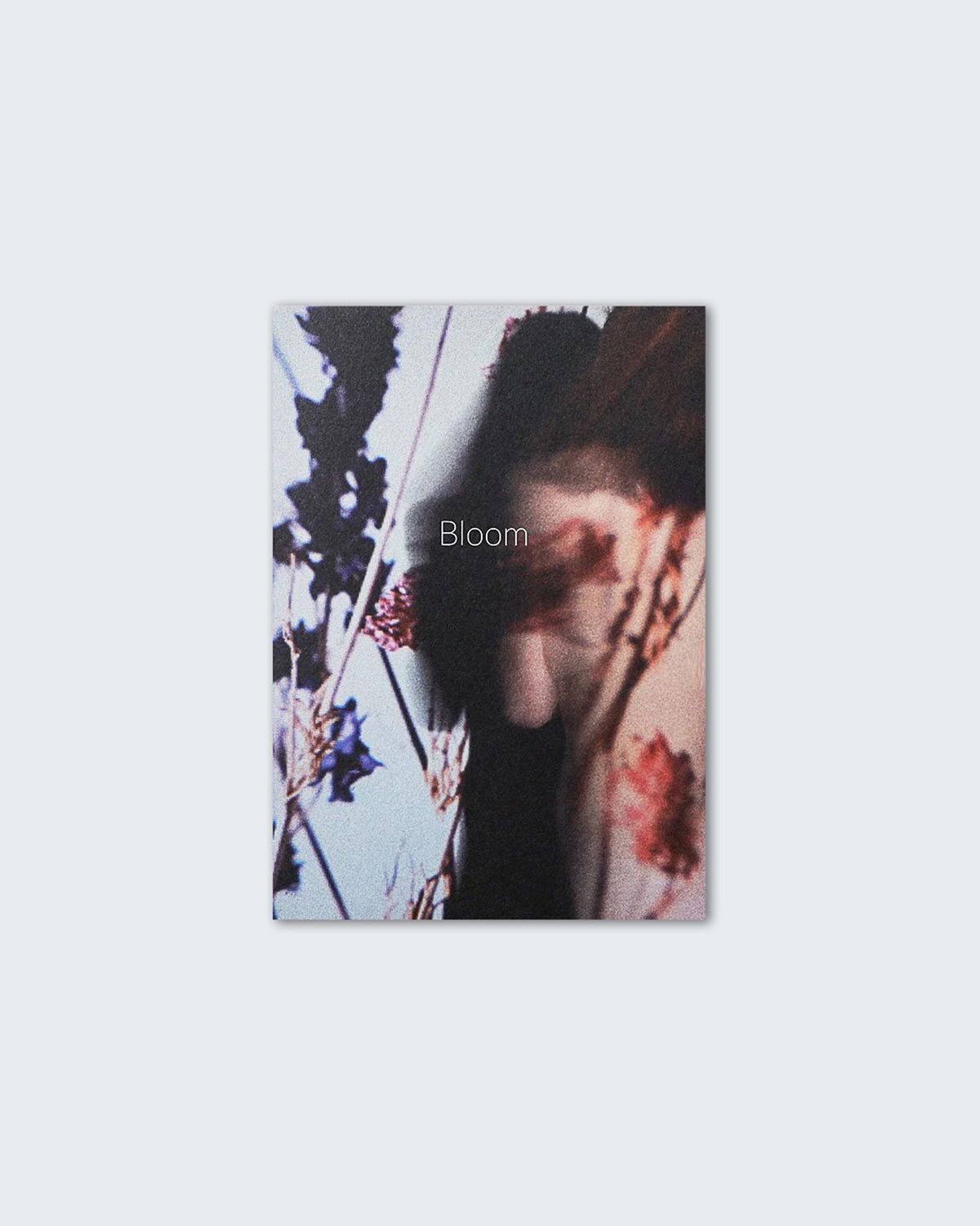 Anniek Snoeijs - Bloom
