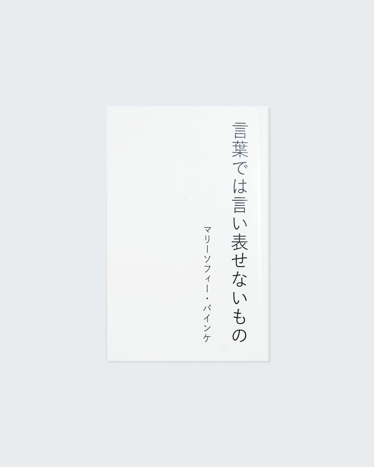 Marie-Sophie Beinke - 言葉では言い表せないもの