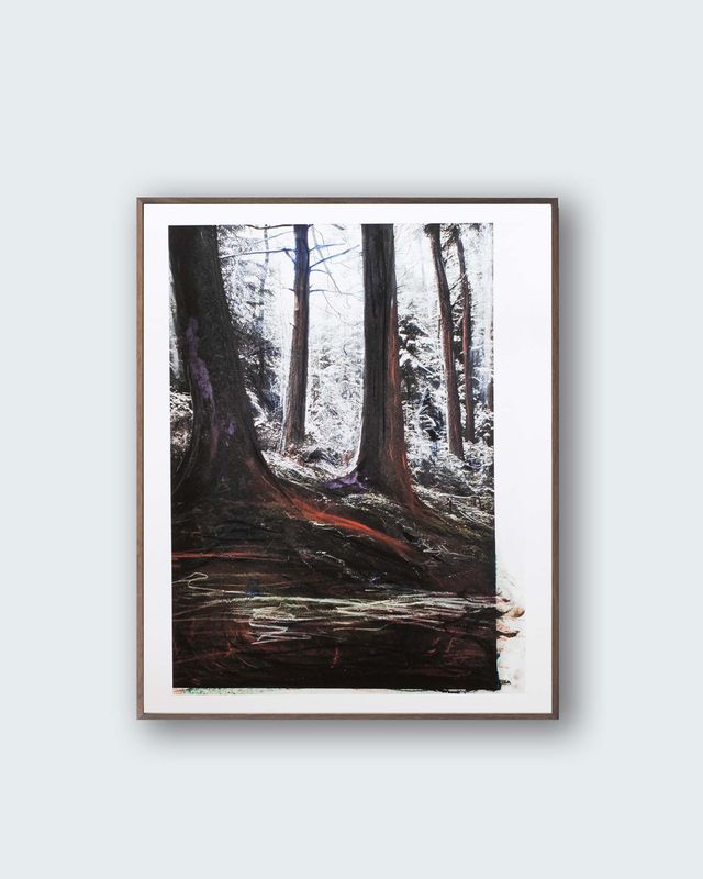 Lara Gasparotto - Refuge - special edition - Forêt-d’Ardenne