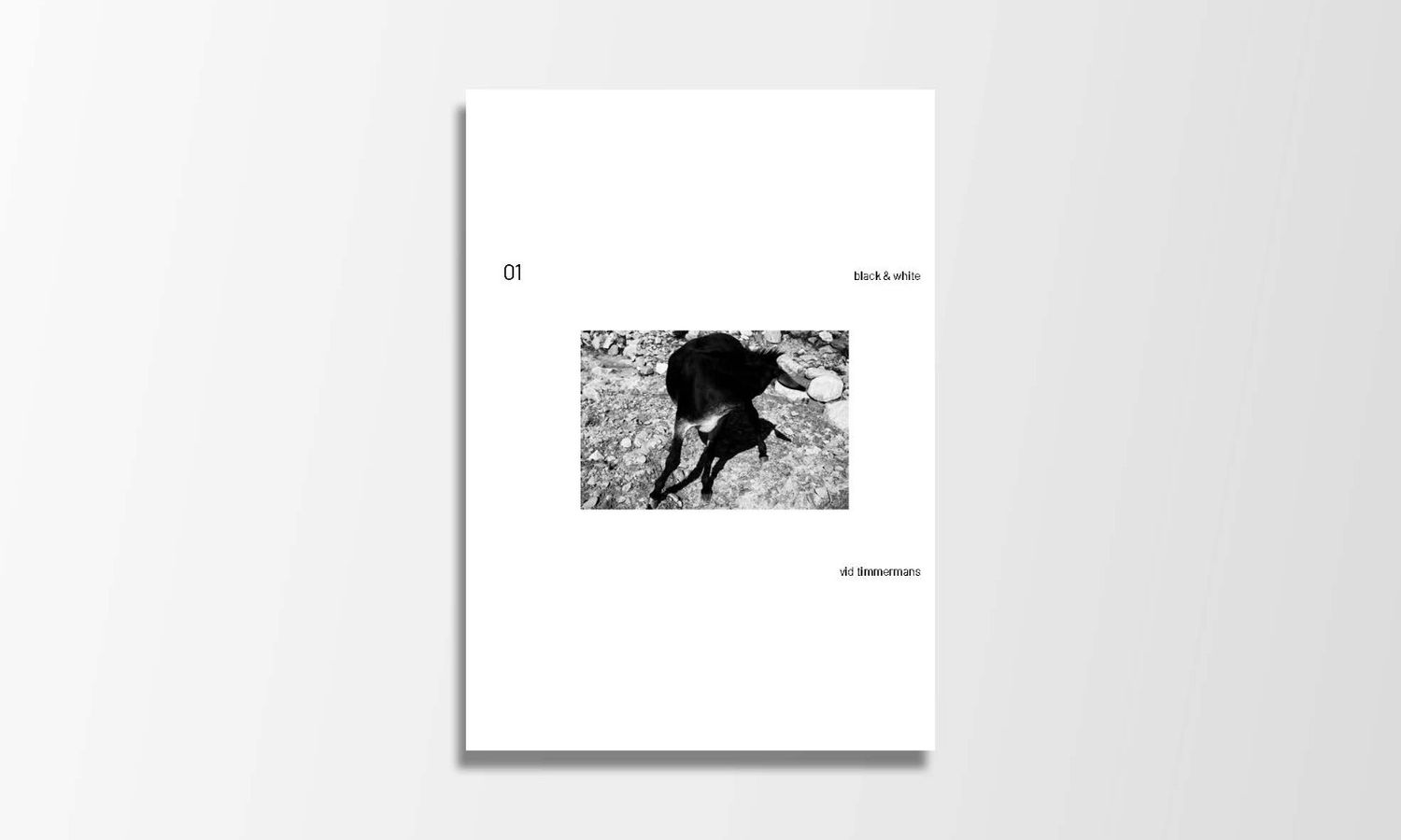 Vid Timmermans - Presale 01 black &amp; white limited edition of 50