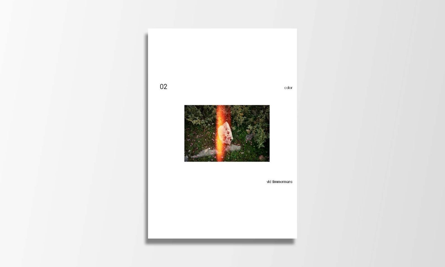 Vid Timmermans - Presale 02 color limited edition of 50