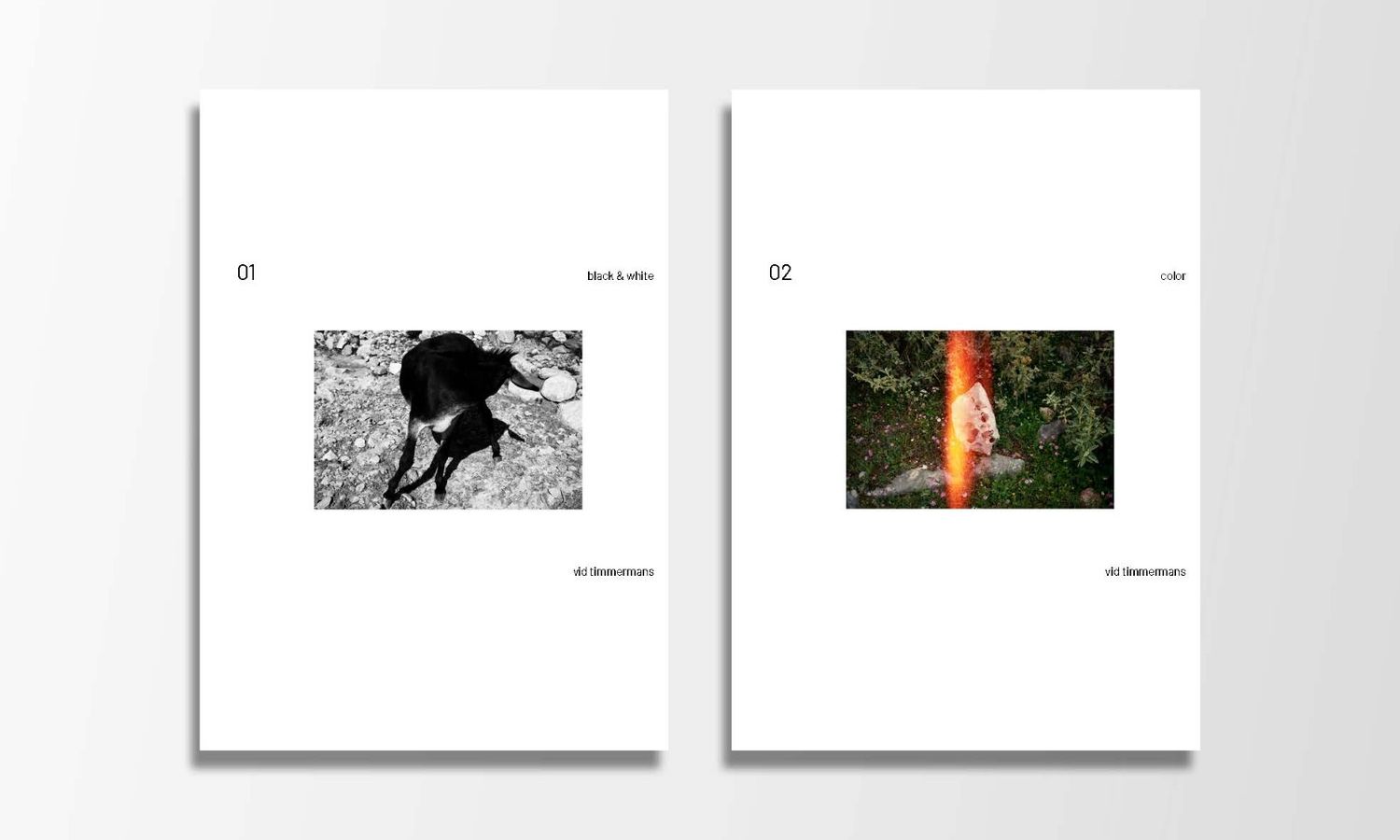 Vid Timmermans - Presale combo limited edition 01 black &amp; white + 02 color