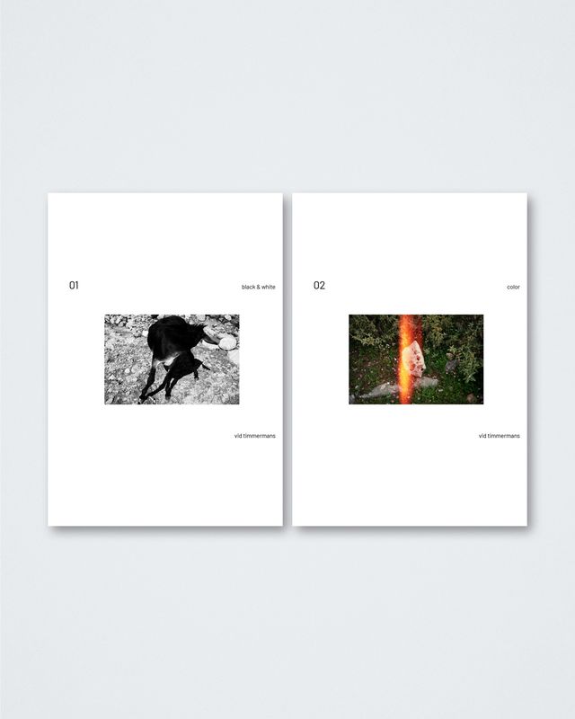 Vid Timmermans - Presale combo limited edition 01 black &amp; white + 02 color