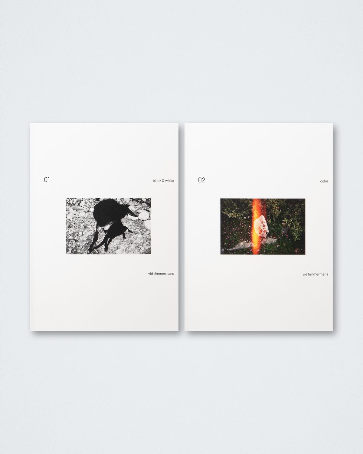 Vid Timmermans - Presale combo 01 black &amp; white + 02 color