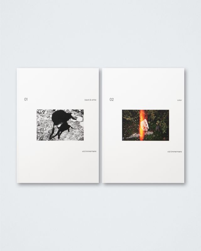 Vid Timmermans - combo 01 black &amp; white + 02 color