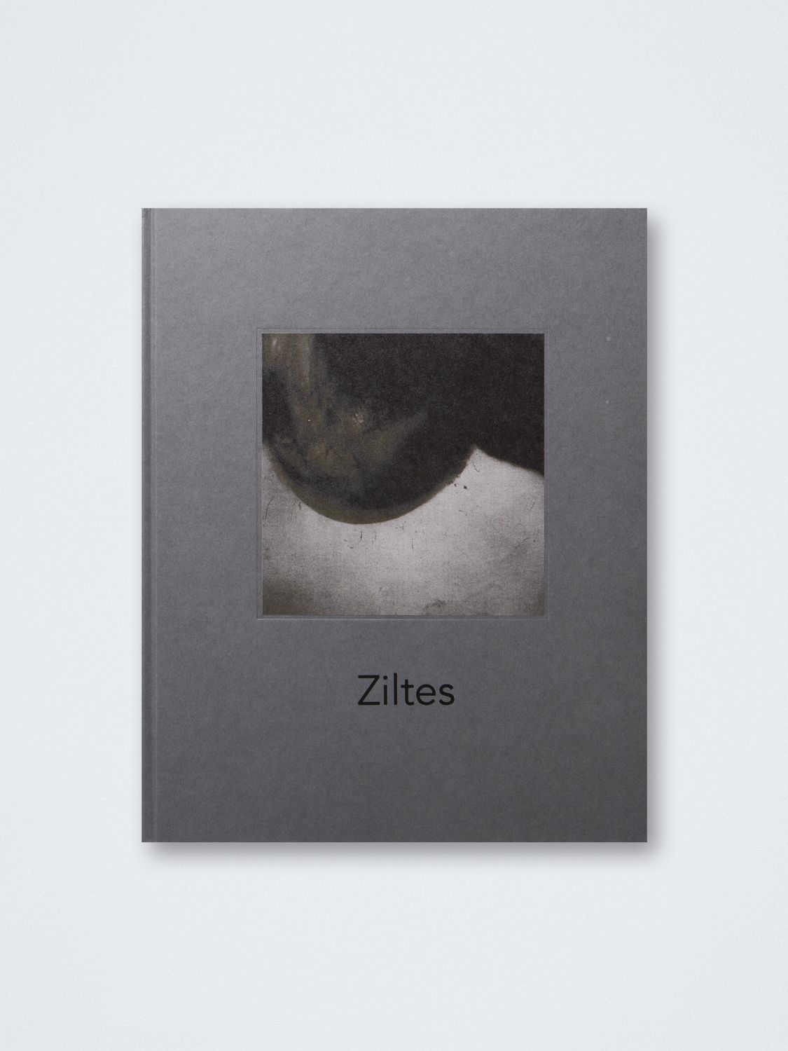 Bernadette Messiaen – Ziltes