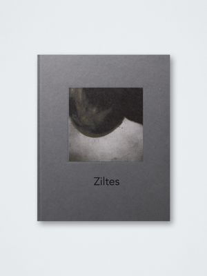 Bernadette Messiaen – Ziltes