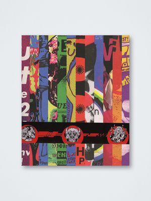 Benny Van den Meulengracht-Vrancx &amp; Bent Vande Sompele – Graphic Design of Scheld'Apen
