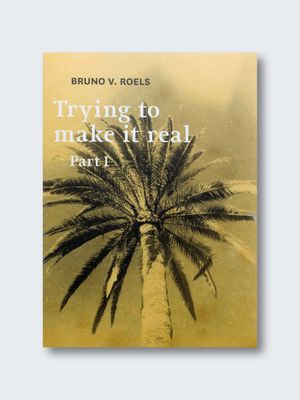 Bruno V. Roels – Trying To Make It Real: Part I &amp; II