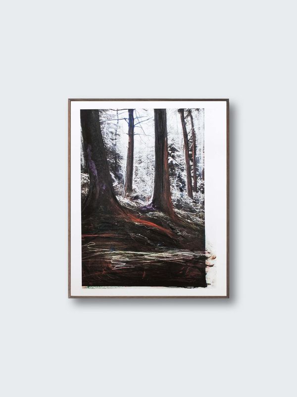 Lara Gasparotto – Refuge (Special Edition) (Forêt-d’Ardenne)