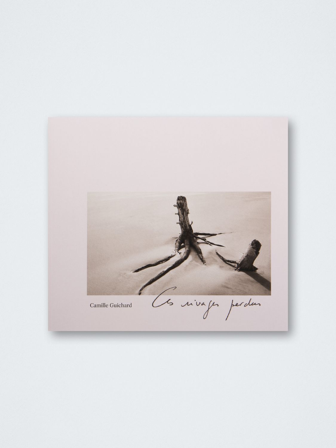 Camille Guichard – Ces rivages perdus