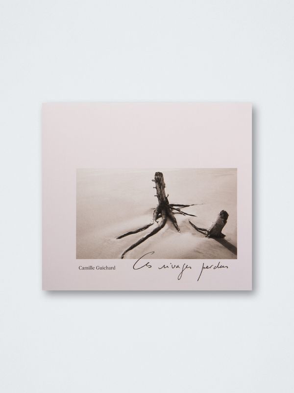 Camille Guichard – Ces rivages perdus
