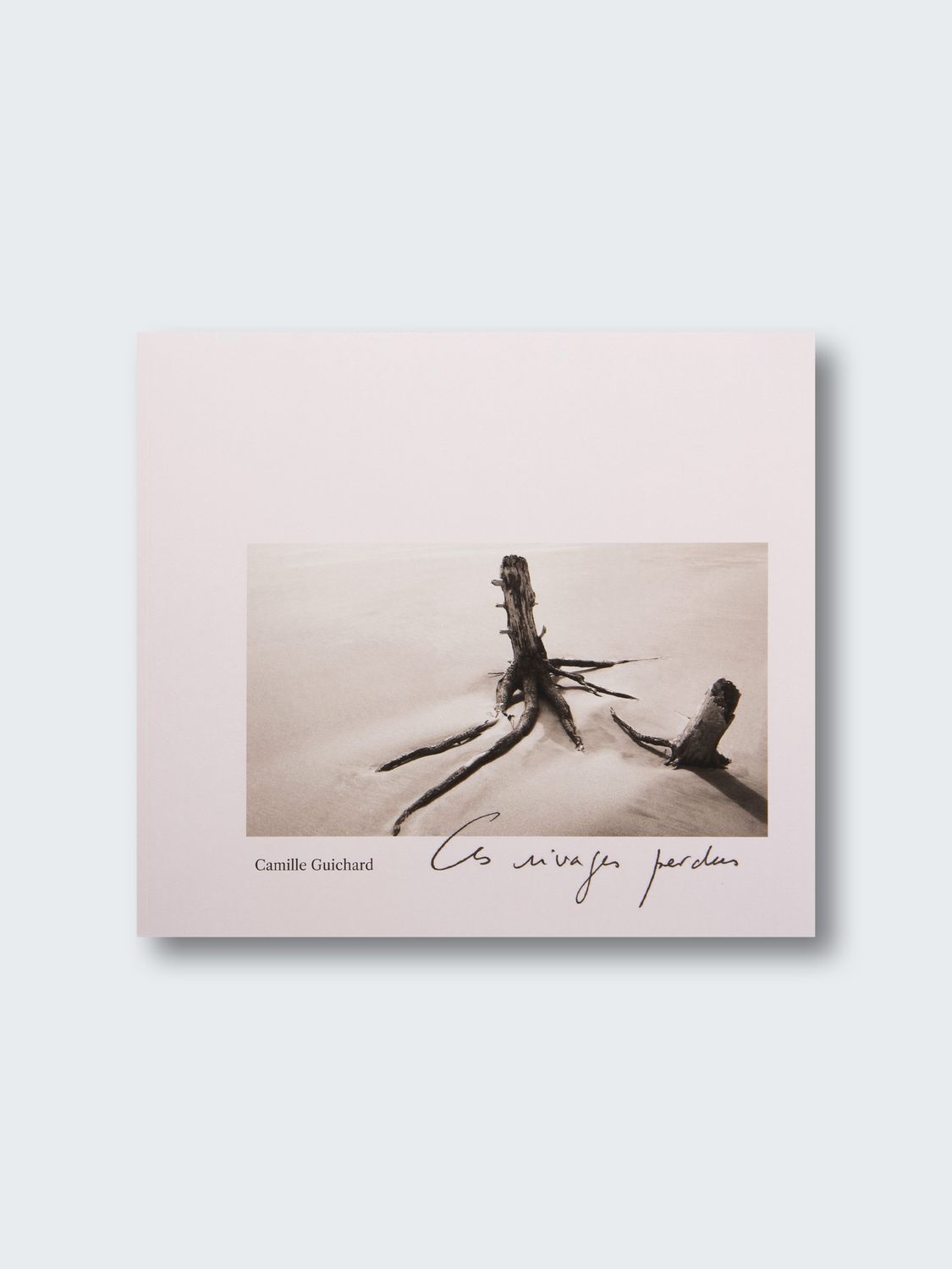 Camille Guichard – Ces rivages perdus