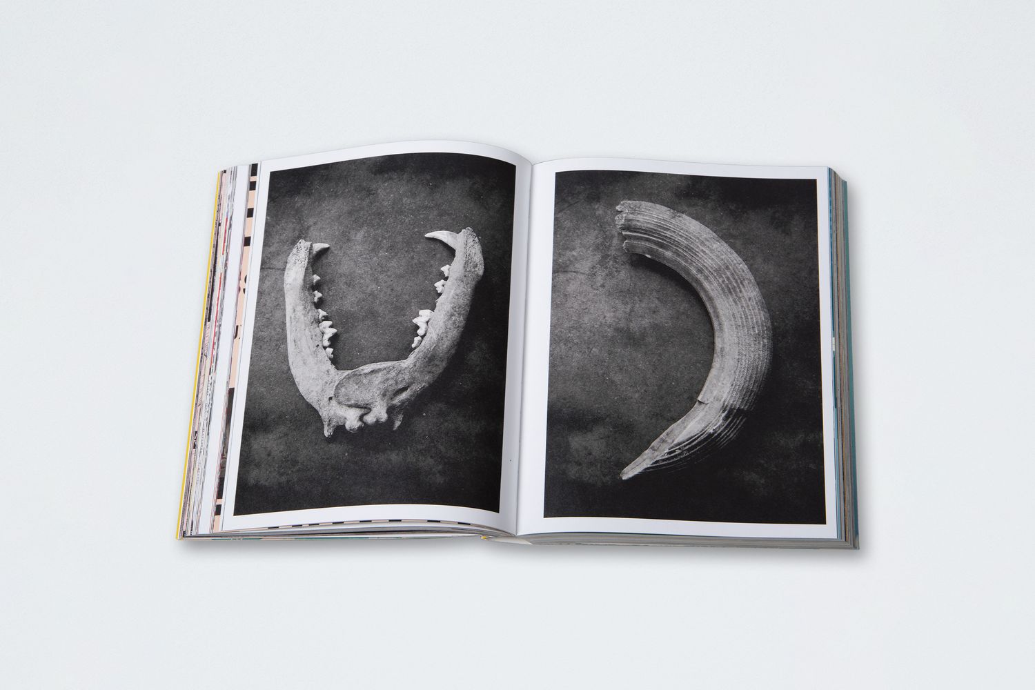 Not For A Want Of Trying by Bart Luijten | HOPPER&FUCHS