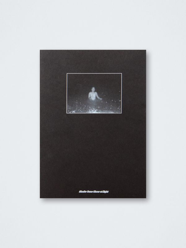 Lauranne Leunis – Sharks Come Closer at Night