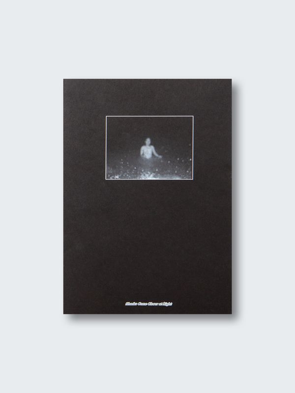 Lauranne Leunis – Sharks Come Closer at Night