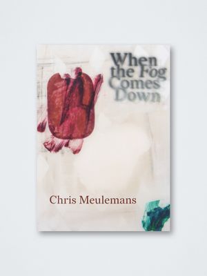 Chris Meulemans – When the Fog Comes Down