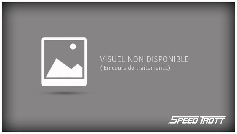 Passe câble supérieur manche - XT800
