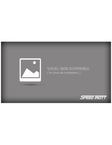 Jeu de direction (ensemble complet) Speedtrott - XM350