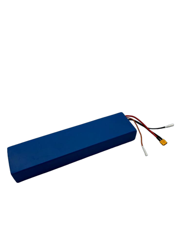 Dualtron Togo | Batterie 36V 12Ah