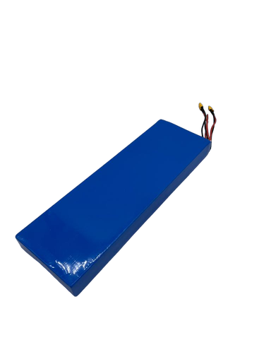 Dualtron Aminia Dual Motor | Batterie 52V21Ah