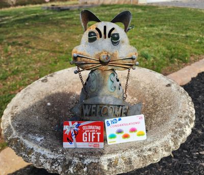 Gift Card B