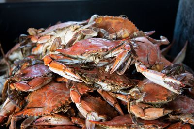 Personal Crab Feast #4