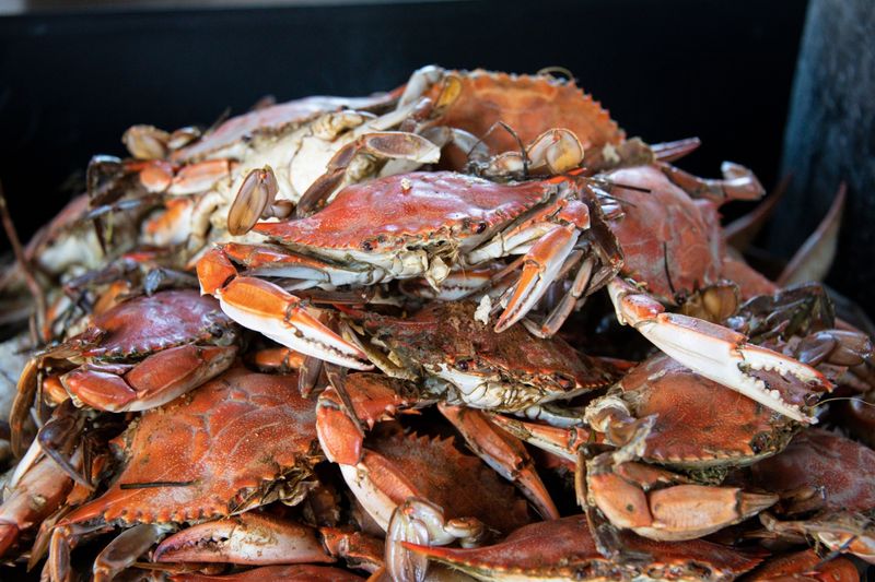 Personal Crab Feast #4