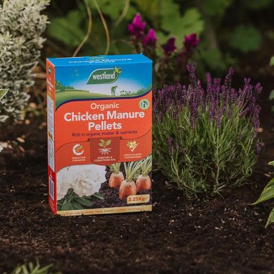 Westland Organic Chicken Manure Pellets