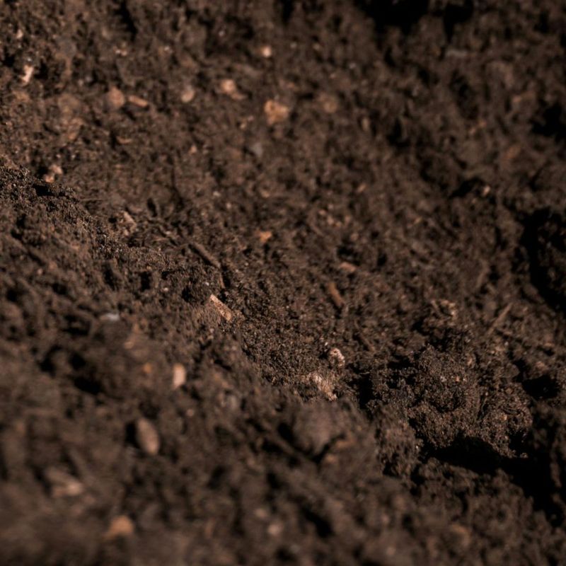 Premium Compost