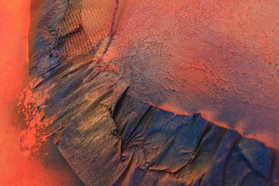 ABSTRACT NATURE SERIES