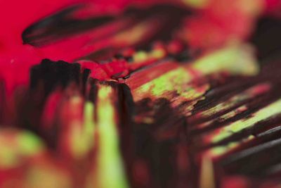 BEATS OF NATURE SERIES