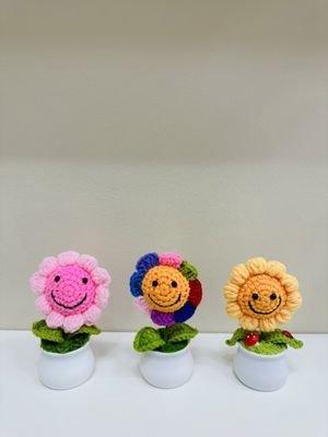 Smiley Sunflower Flowerpot