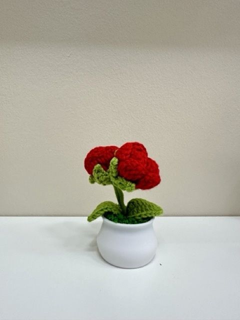 Double Rose Flowerpot