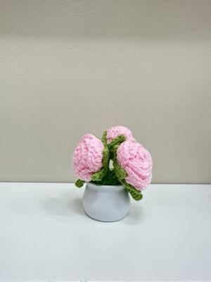 3 Rose Flowerpot