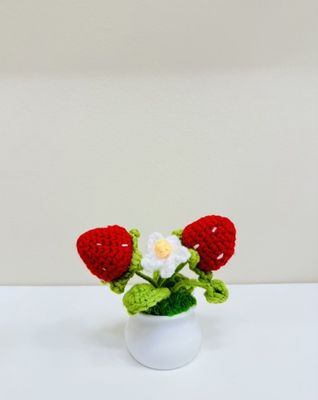 Strawberry Flowerpot