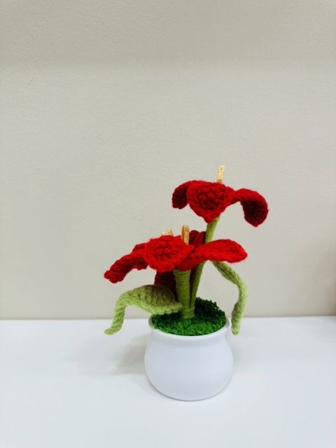 Hibiscus Flowerpot, color: Red