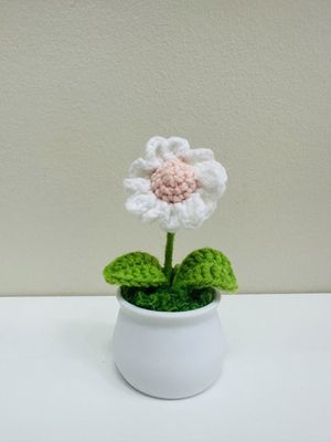 Daisy Flowerpot
